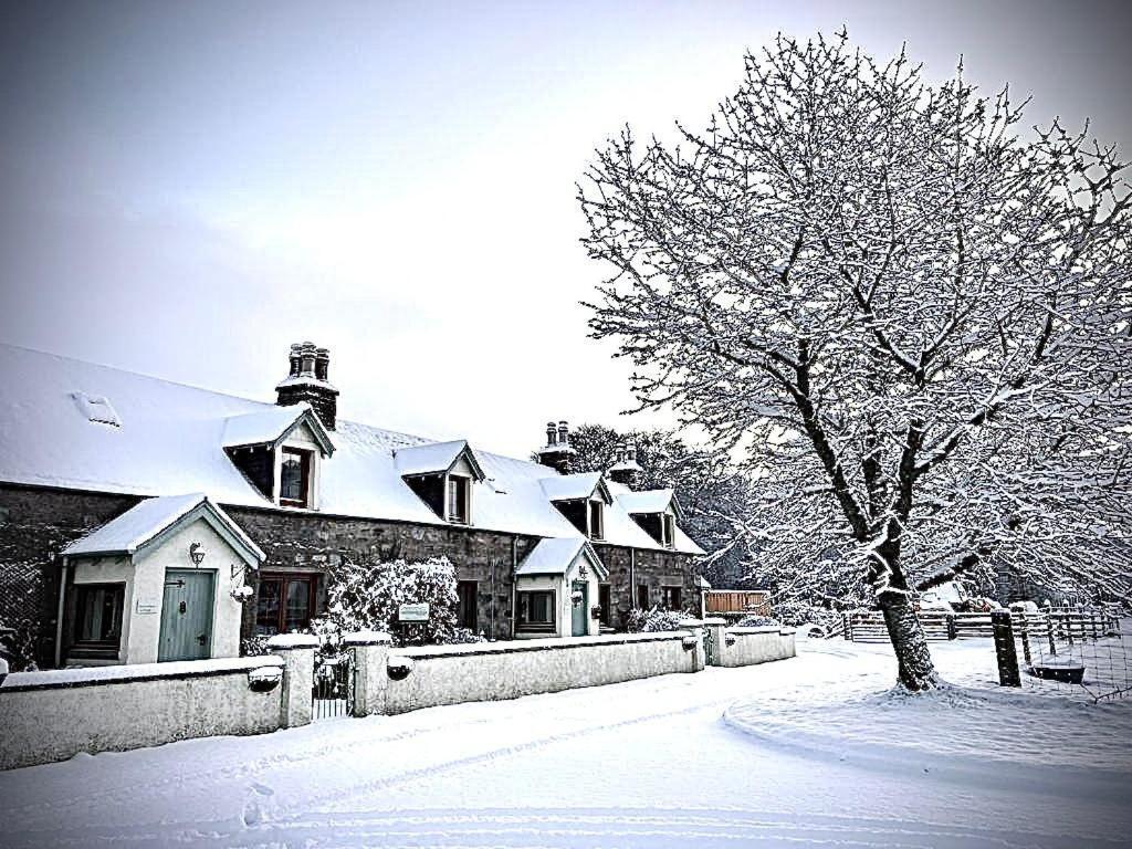 Rosemount Bothy - Highland Cottage Garve Esterno foto