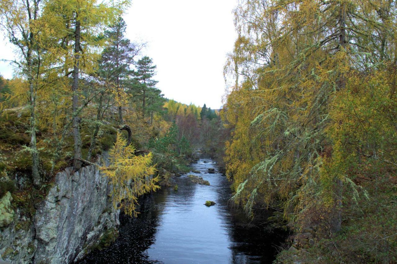 Rosemount Bothy - Highland Cottage Garve Esterno foto