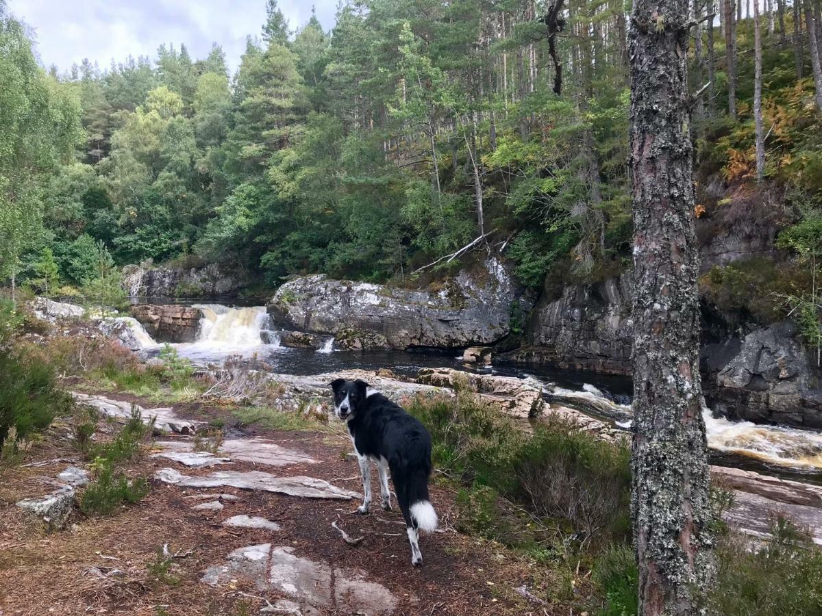 Rosemount Bothy - Highland Cottage Garve Esterno foto