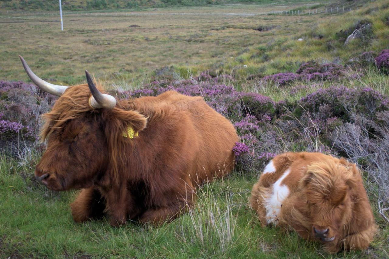 Rosemount Bothy - Highland Cottage Garve Esterno foto